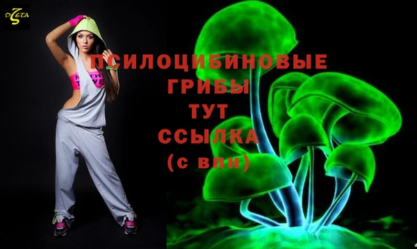 гашик Арсеньев