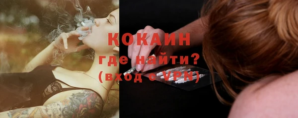 гашик Арсеньев