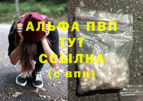 гашик Арсеньев