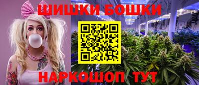 индика Партизанск