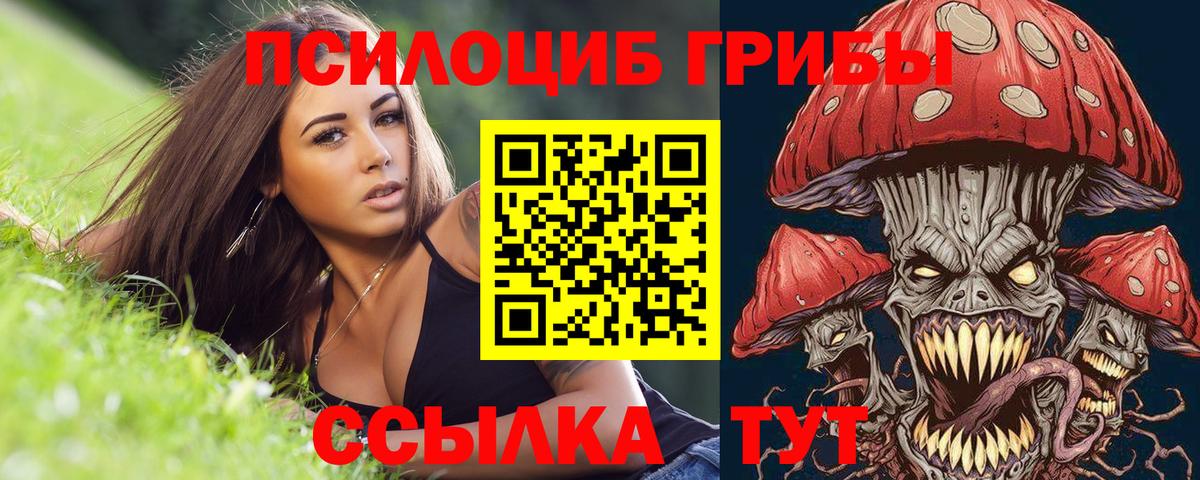 Галлюциногенные грибы Cubensis Копейск